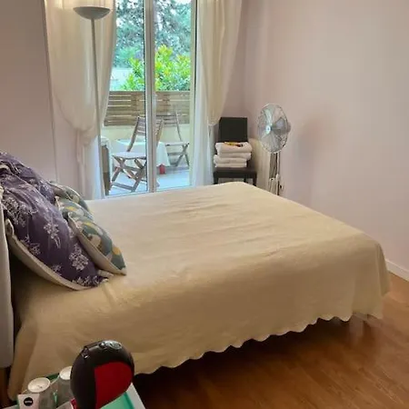 Luxe Entier Avec Pkg Gratuit Possible *